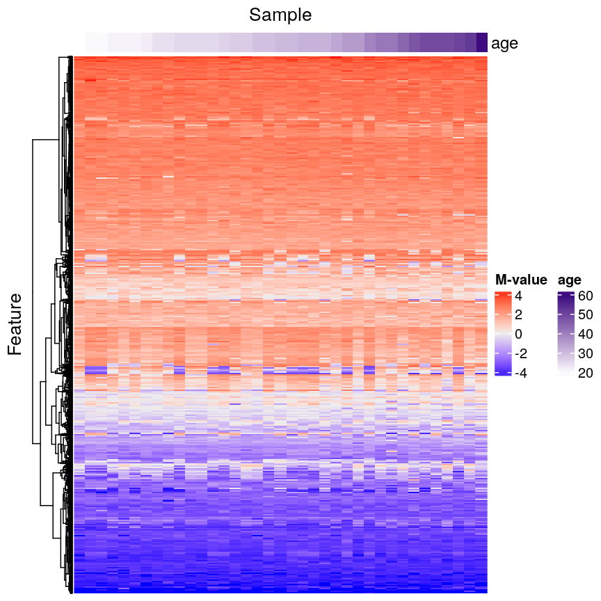 Heatmap of methylation values across all features showing that there are many features. Samples are ordered according to age.